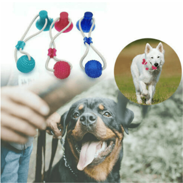 Ultimate Doggy Dental Delight