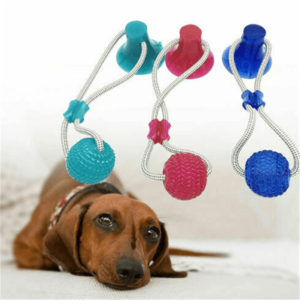 Ultimate Doggy Dental Delight
